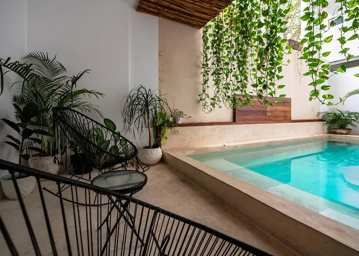 Stylish W Rooftop Pool Walk To 5th Playa del Carmen